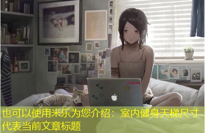 <strong>米乐为您介绍：室内健身天梯尺寸</strong>
