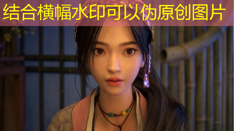 <strong>室内健身天梯器</strong>